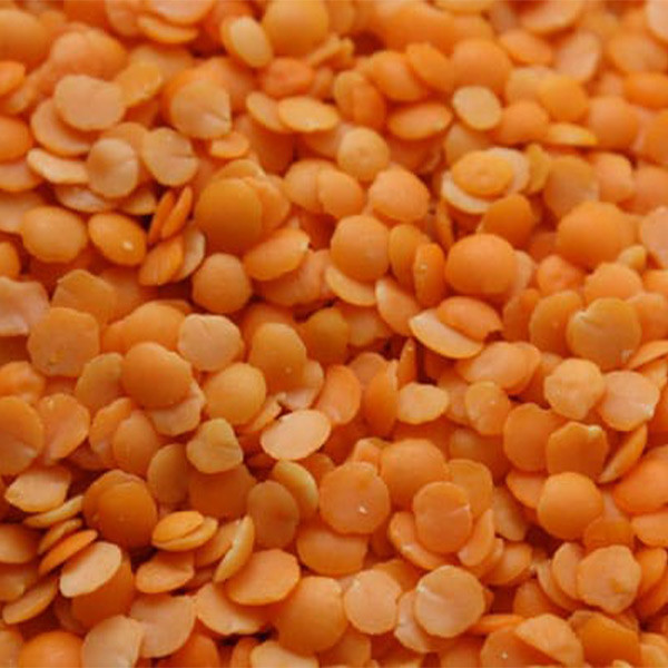 Gawharet Sadaf lentils 1 ton